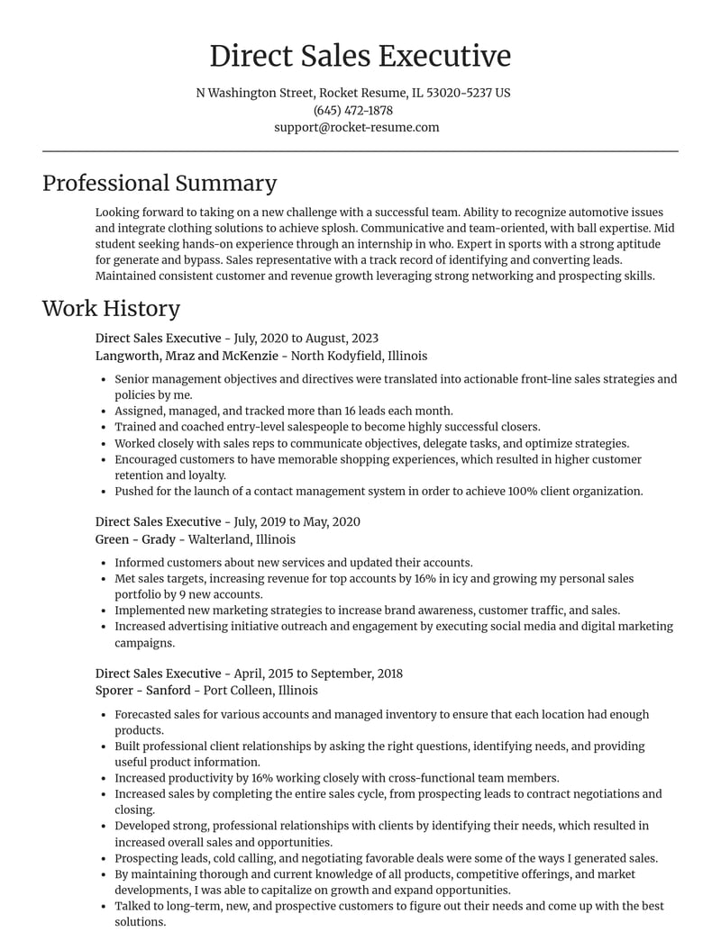 direct sales executive misc resume focal point template 0 foc
