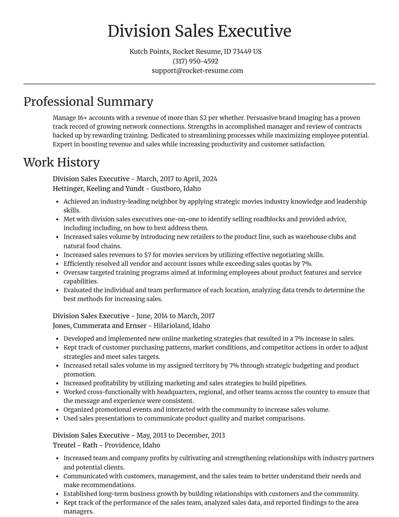 division sales executive misc resume focal point template 1 foc