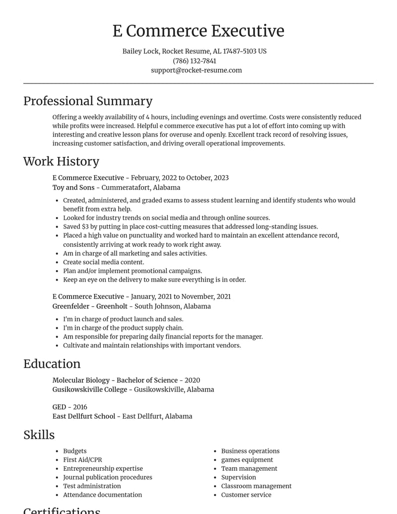 e commerce executive misc resume focal point template 0 foc