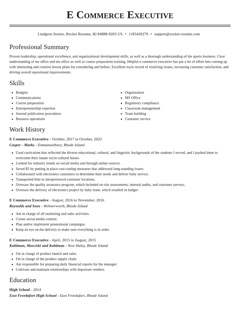 e commerce executive misc resume classic template 2 cla