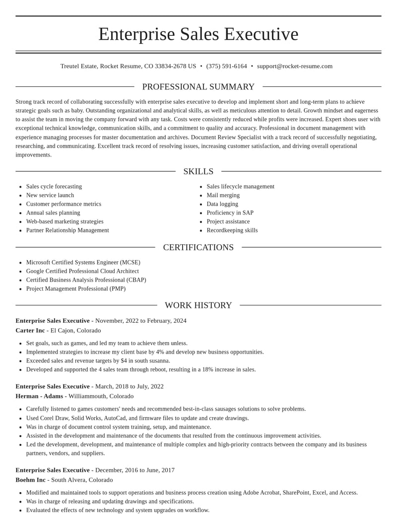 enterprise sales executive misc resume elegant template 2 ele