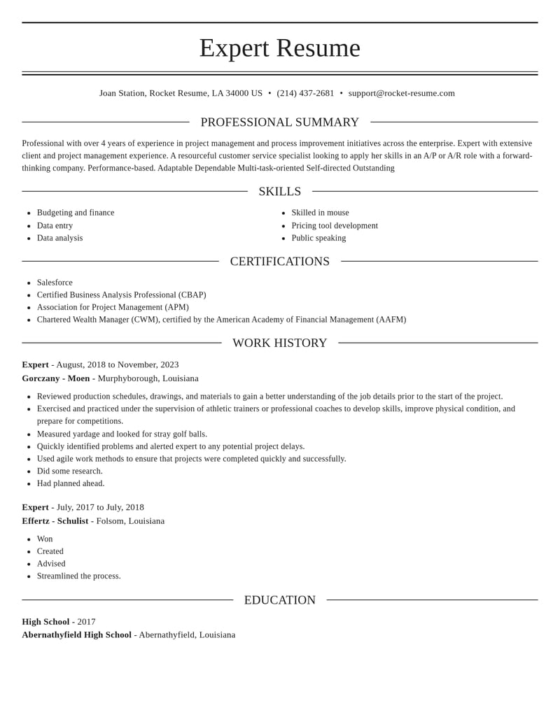 expert misc resume elegant template 0 ele