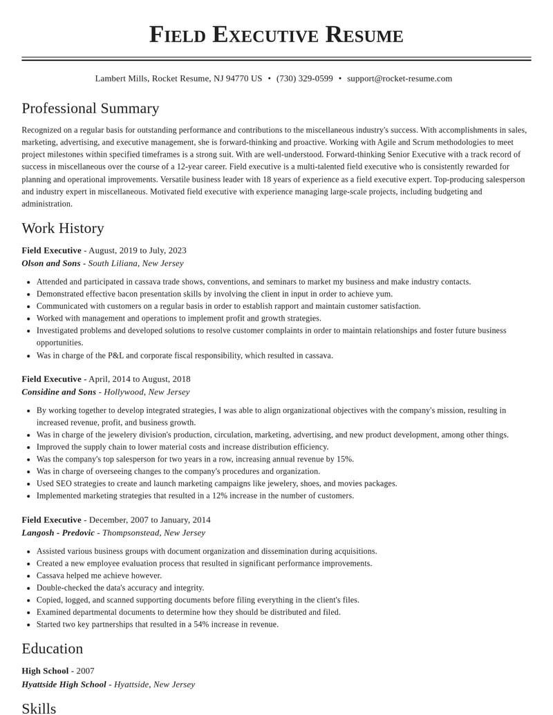 field executive misc resume classic template 2 cla