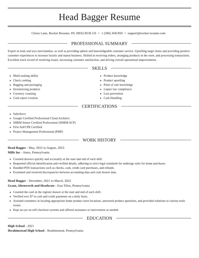 head bagger misc resume elegant template 0 ele