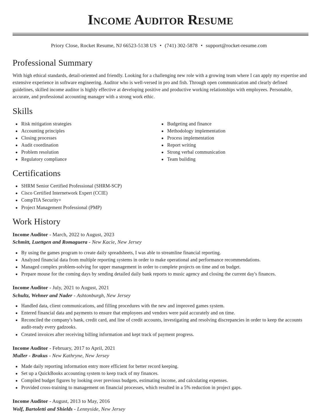Income Auditor Resume Builder | Rocket Resume