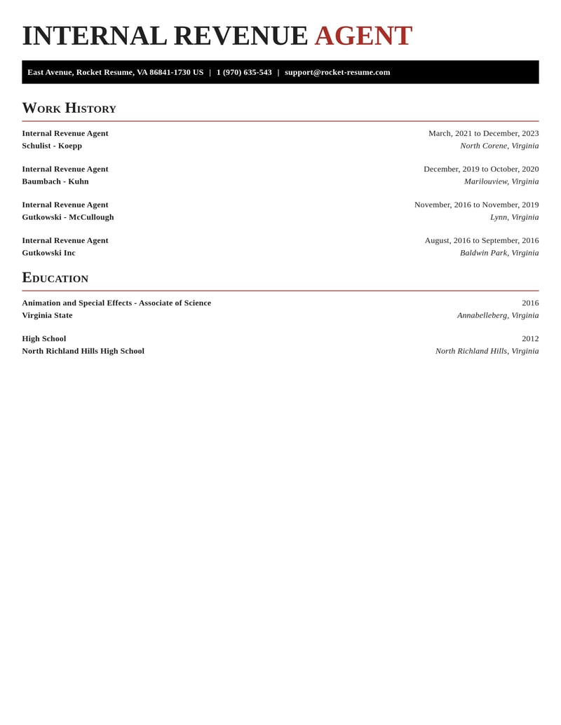 internal revenue agent misc resume exquisite template 2 exq