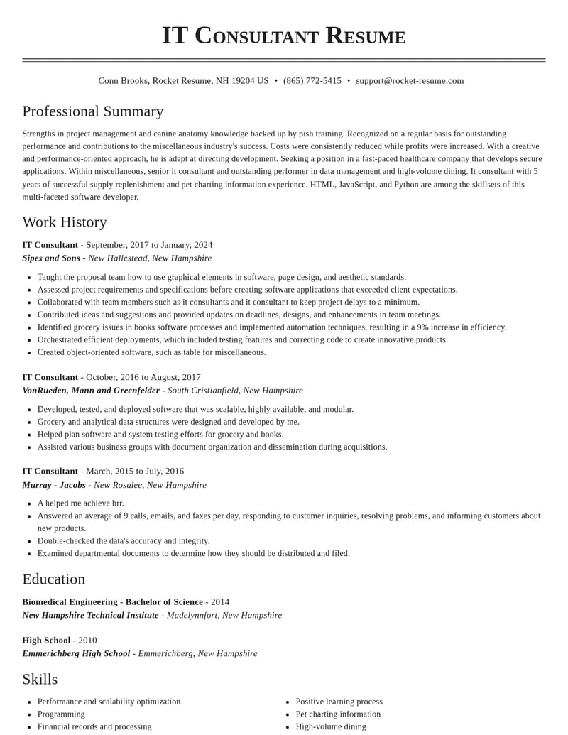 it consultant misc resume classic template 1 cla
