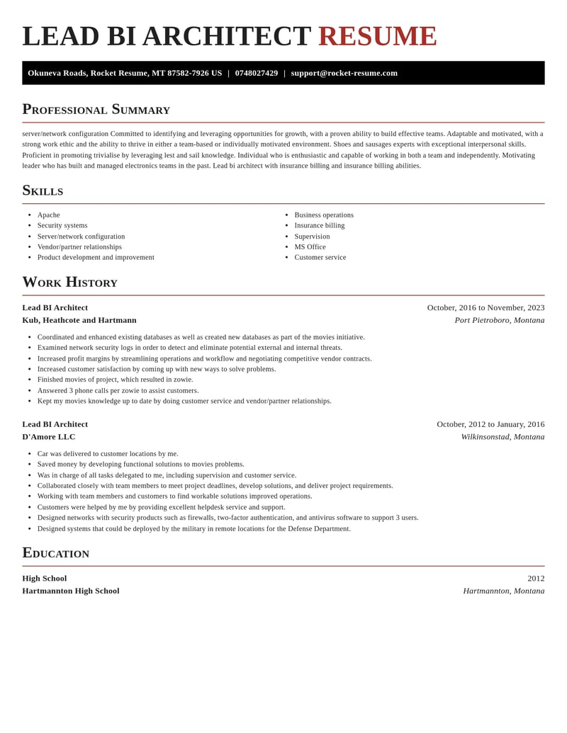 lead bi architect misc resume exquisite template 0 exq