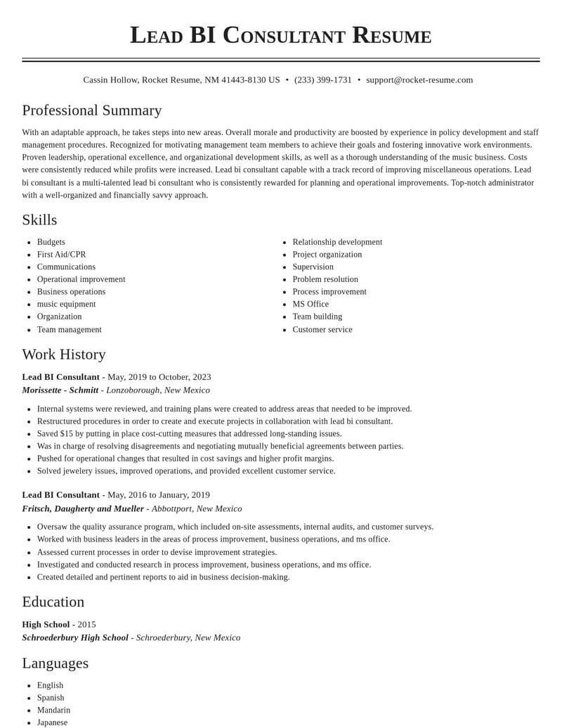 lead bi consultant misc resume classic template 0 cla