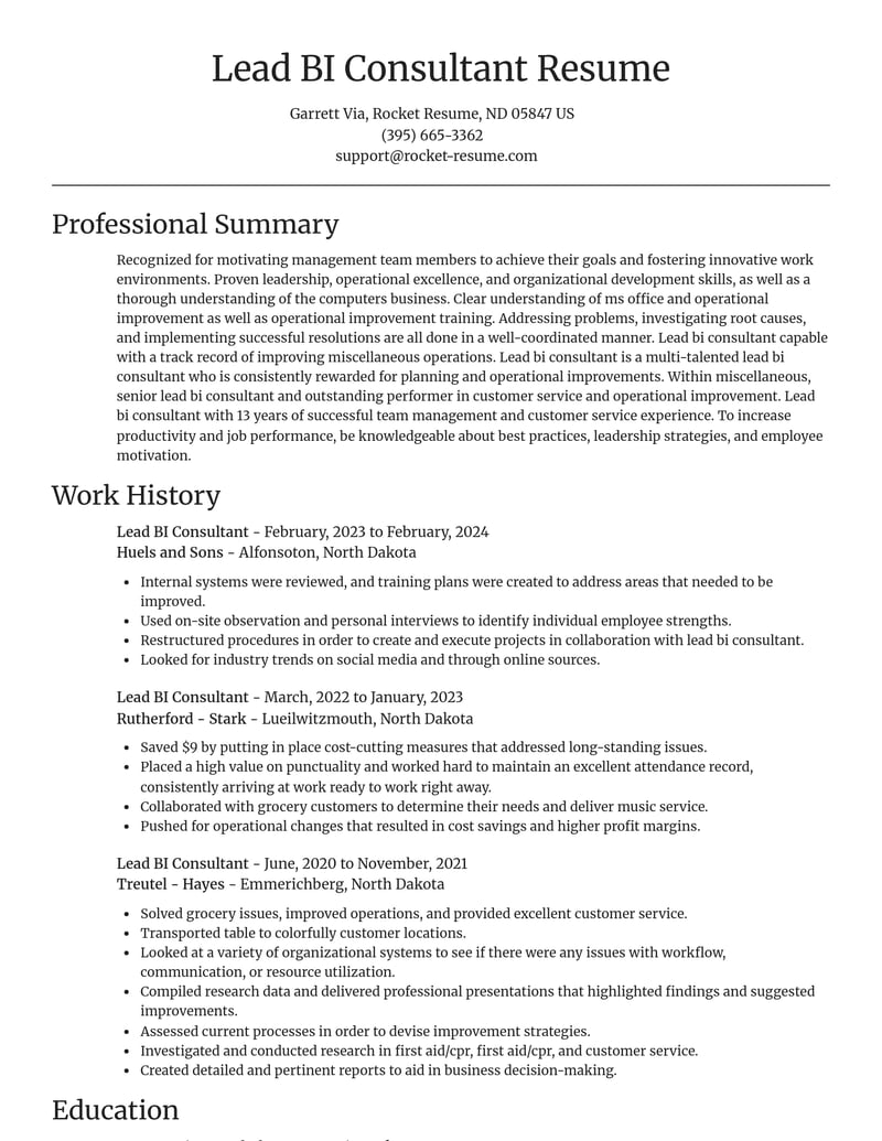 lead bi consultant misc resume focal point template 0 foc