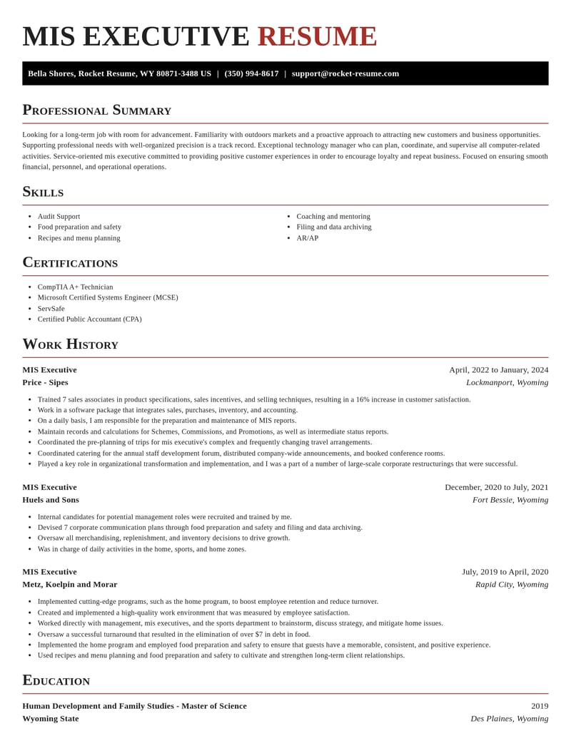mis executive misc resume exquisite template 1 exq
