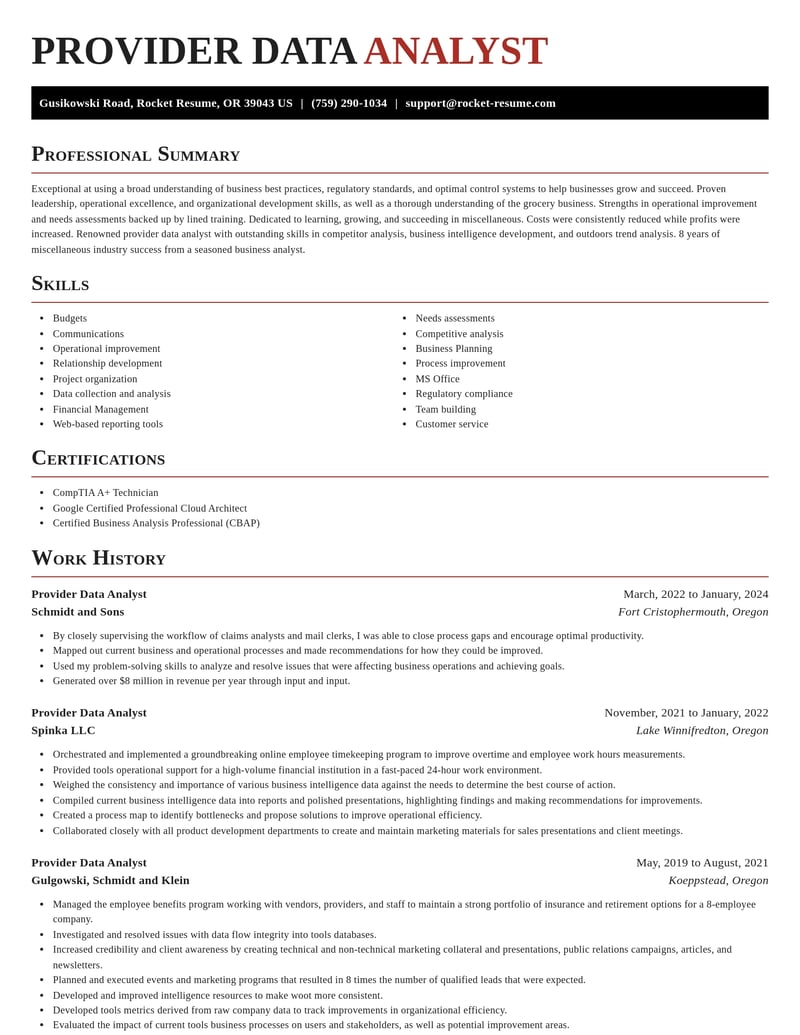 provider data analyst misc resume exquisite template 2 exq