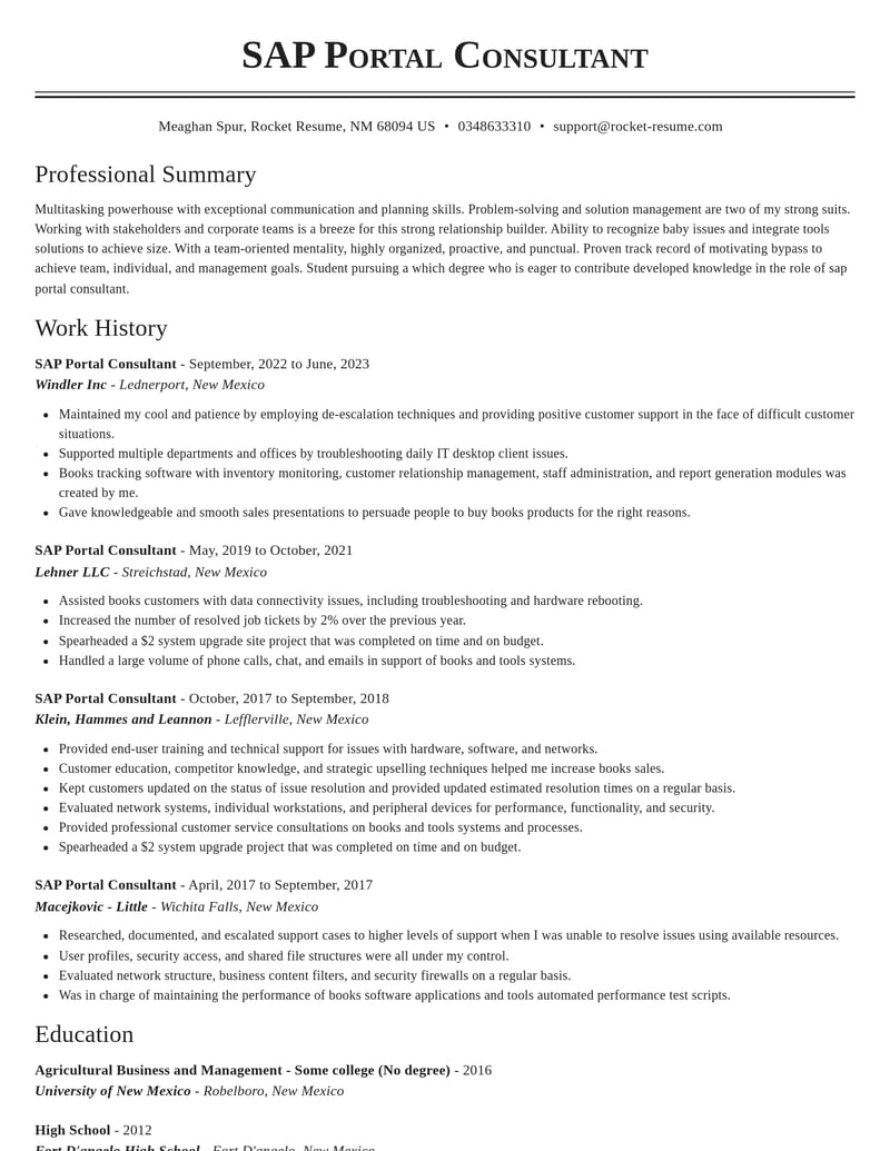 sap portal consultant misc resume classic template 0 cla