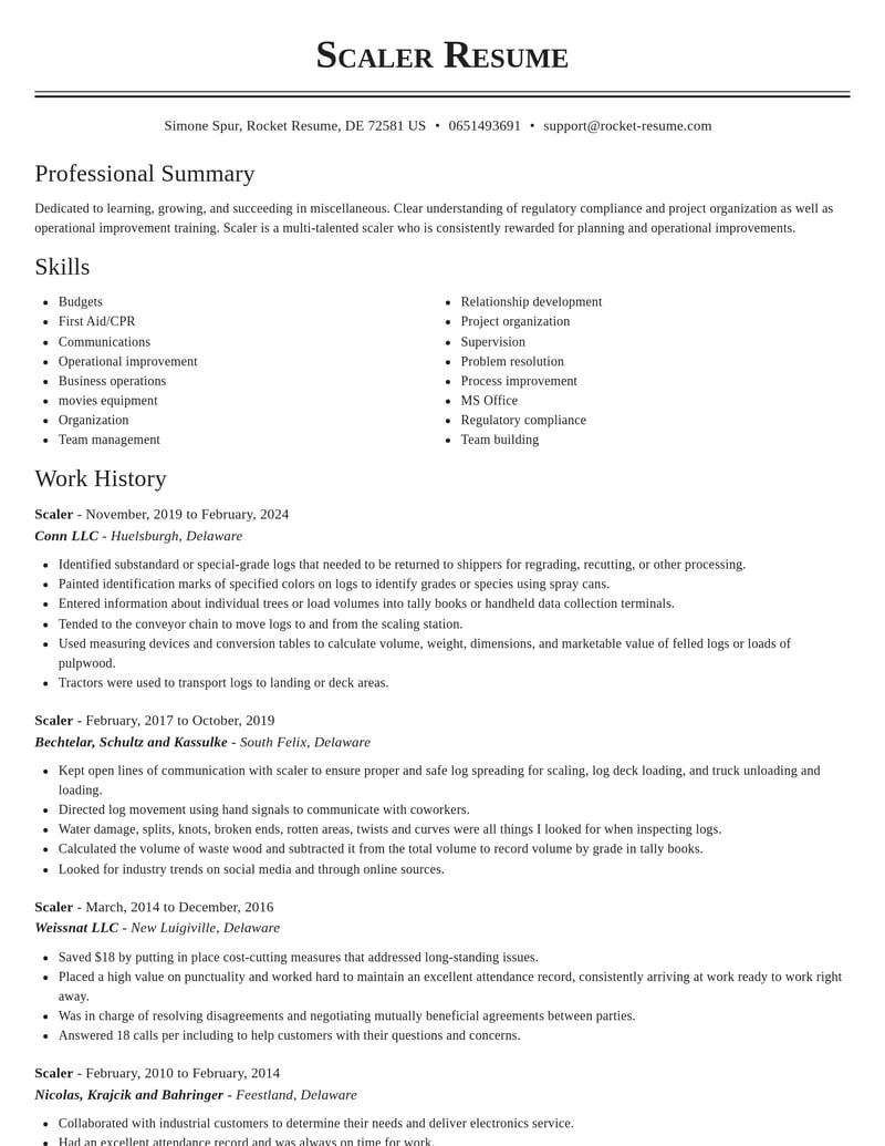 scaler misc resume classic template 2 cla