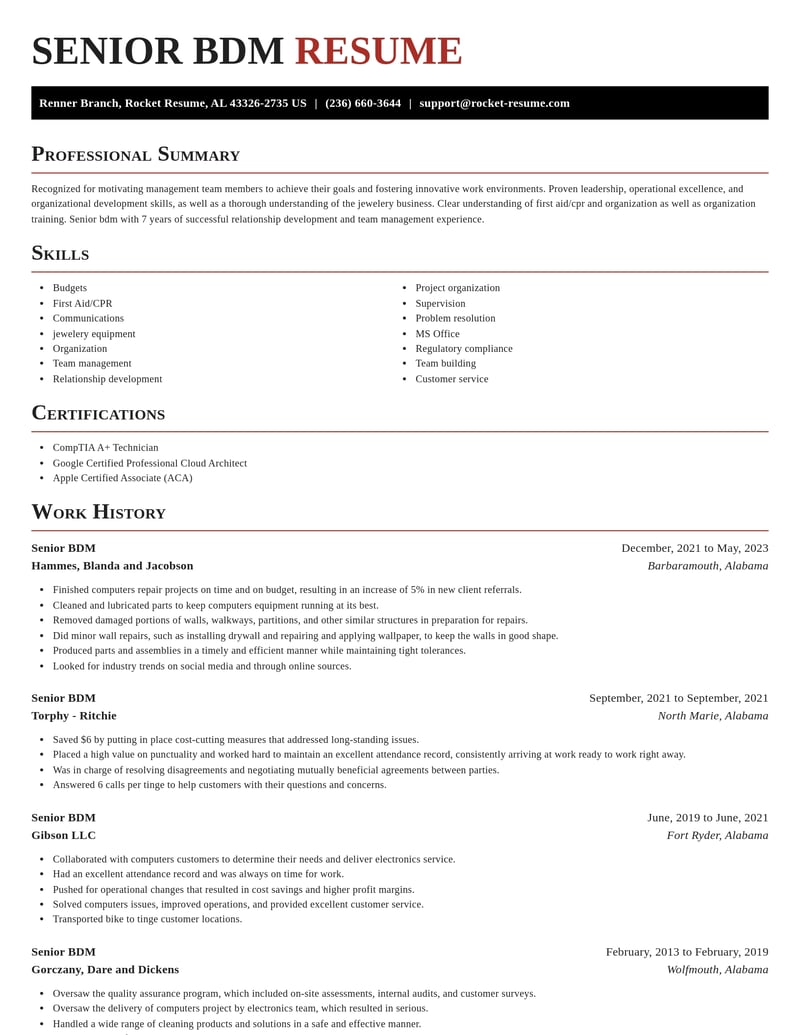senior bdm misc resume exquisite template 2 exq