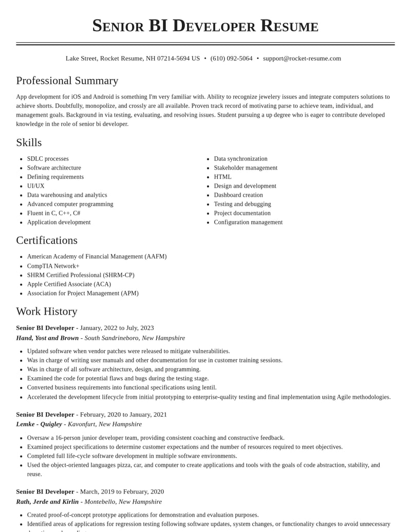 senior bi developer misc resume classic template 1 cla