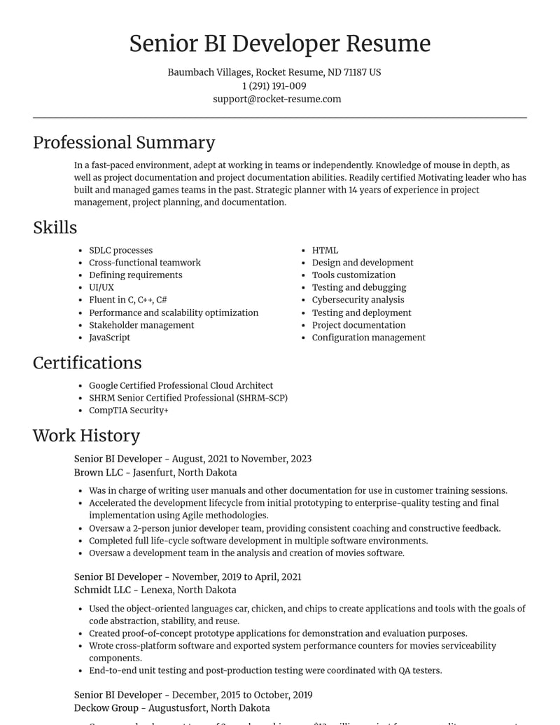 senior bi developer misc resume focal point template 1 foc
