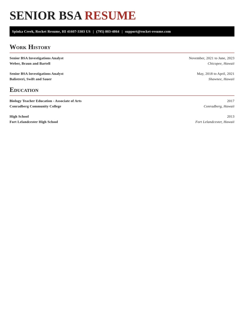 senior bsa investigations analyst misc resume exquisite template 1 exq