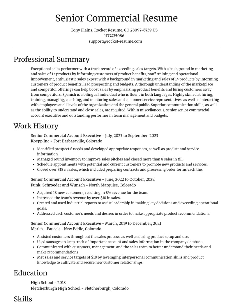 senior commercial account executive misc resume focal point template 2 foc