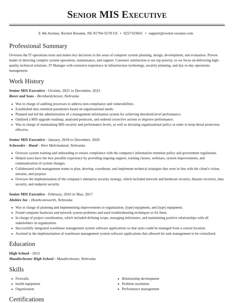 senior mis executive misc resume classic template 0 cla