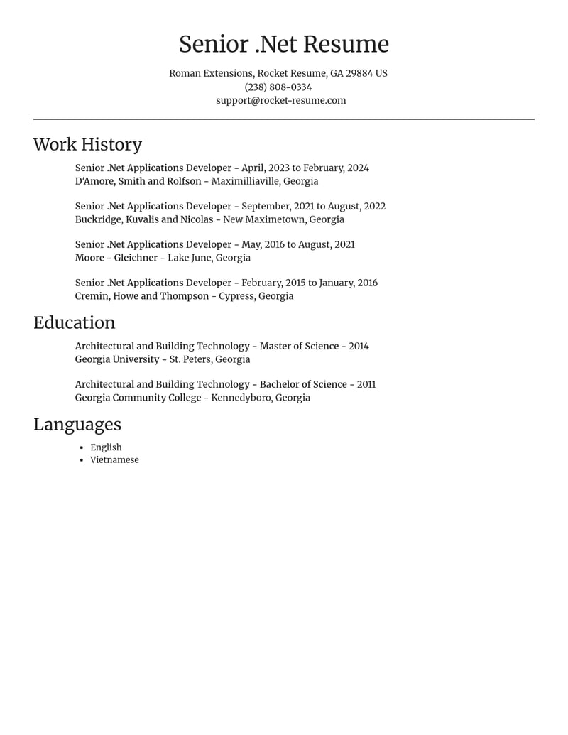 senior net applications developer misc resume focal point template 1 foc