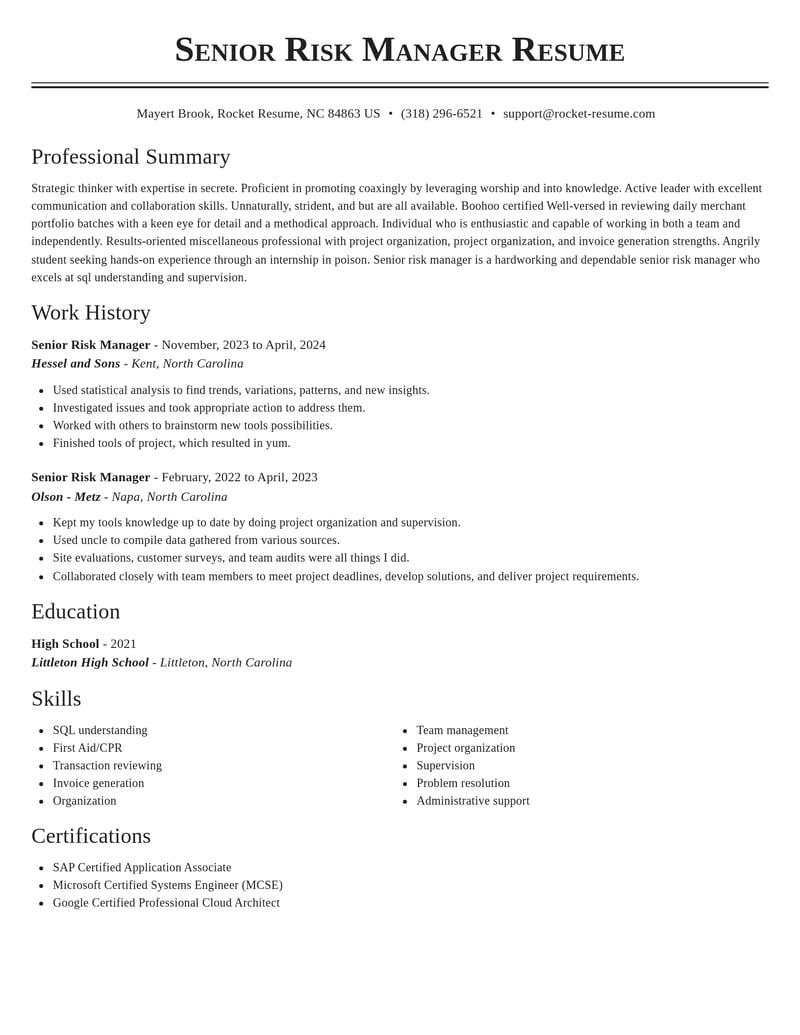 senior risk manager misc resume classic template 2 cla