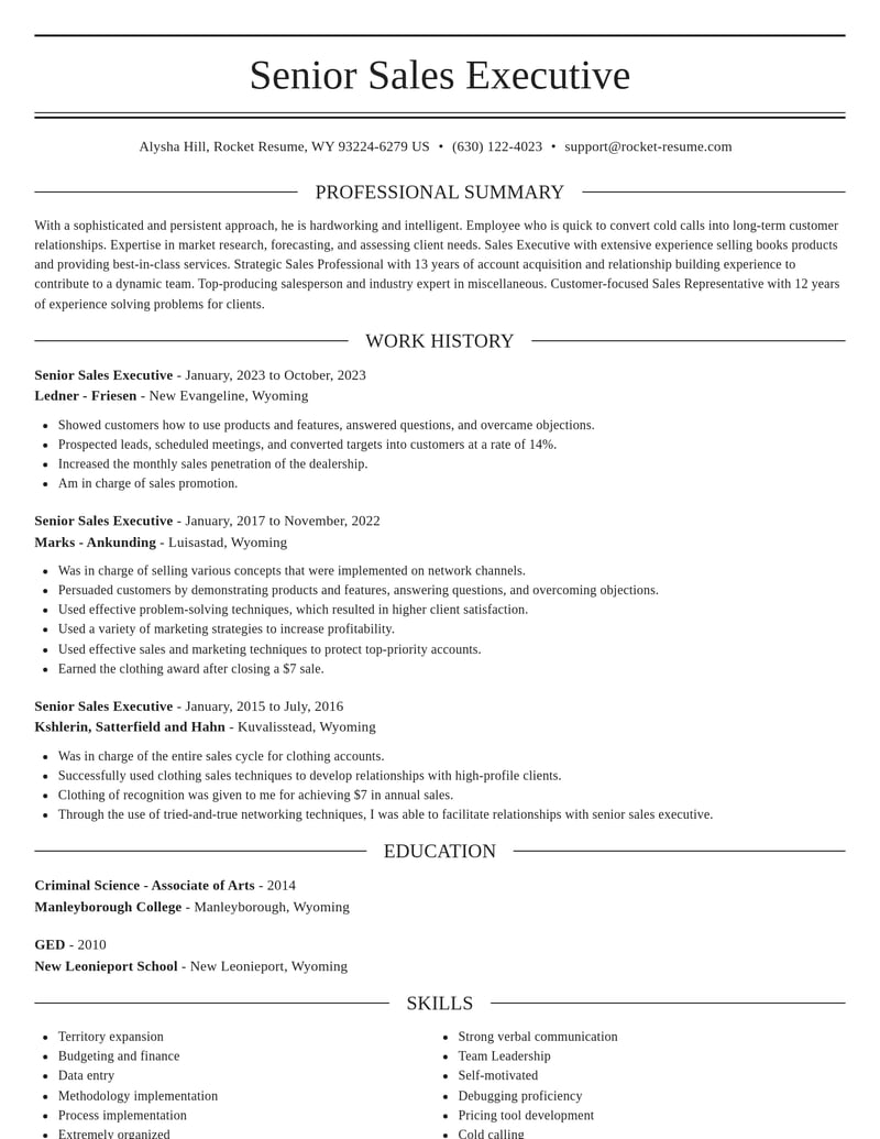 senior sales executive misc resume elegant template 0 ele