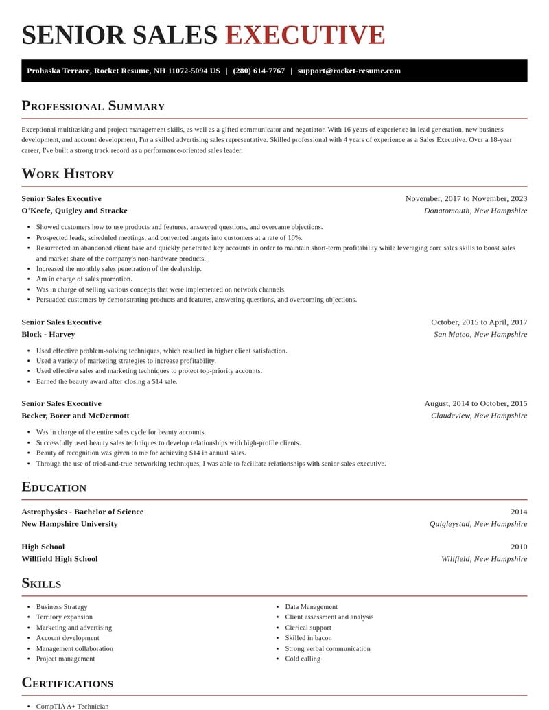 senior sales executive misc resume exquisite template 2 exq