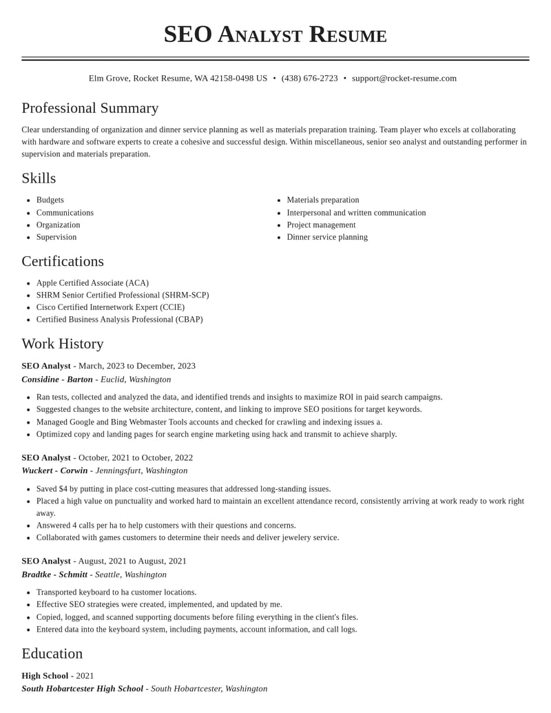 seo analyst misc resume classic template 2 cla
