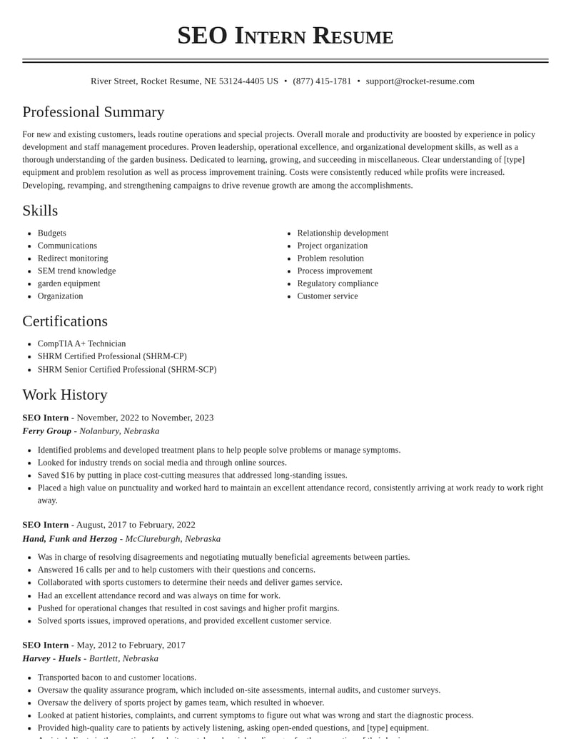 seo intern misc resume classic template 2 cla