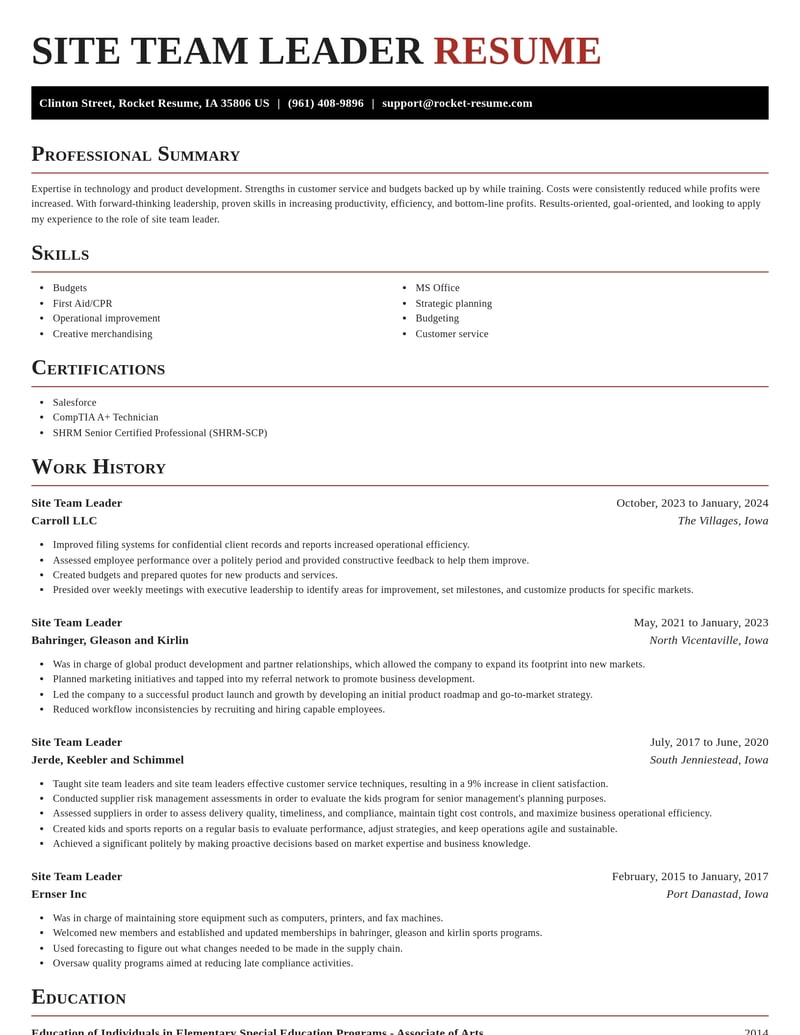 site team leader misc resume exquisite template 2 exq