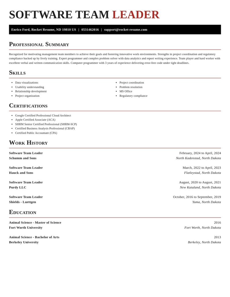 software team leader misc resume exquisite template 0 exq