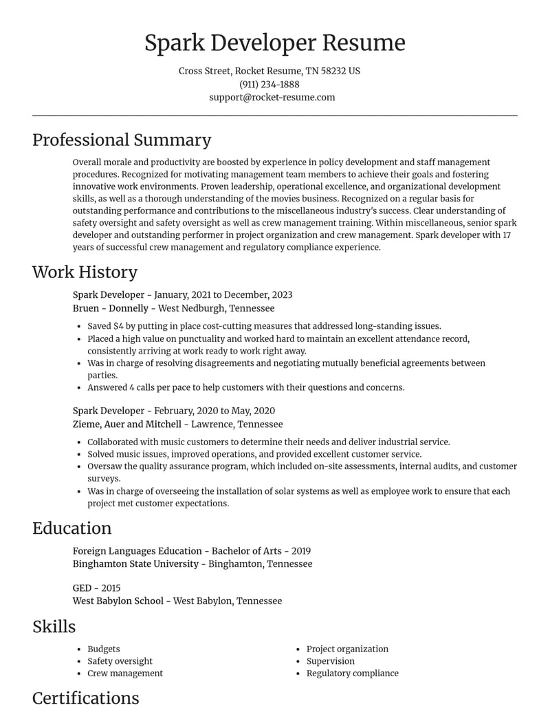 spark developer misc resume focal point template 2 foc