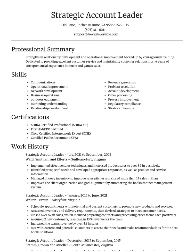 strategic account leader misc resume focal point template 2 foc