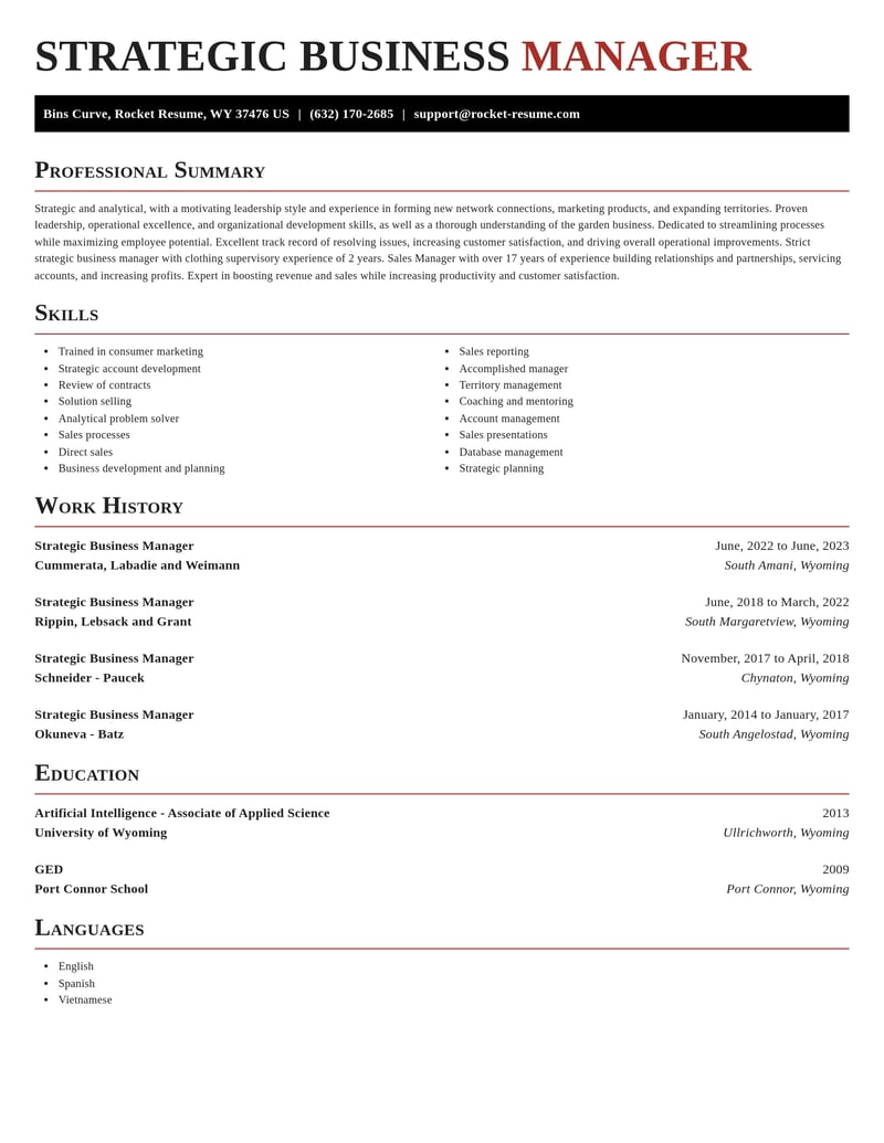 strategic business manager misc resume exquisite template 2 exq