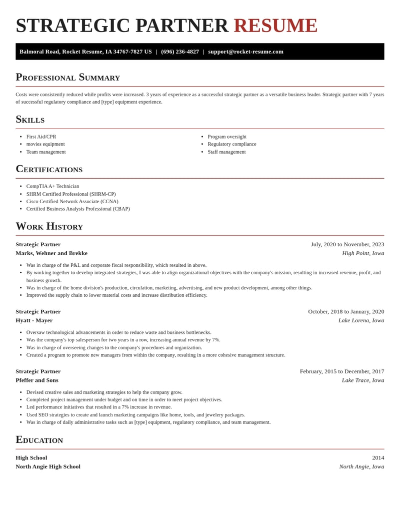 strategic partner misc resume exquisite template 0 exq