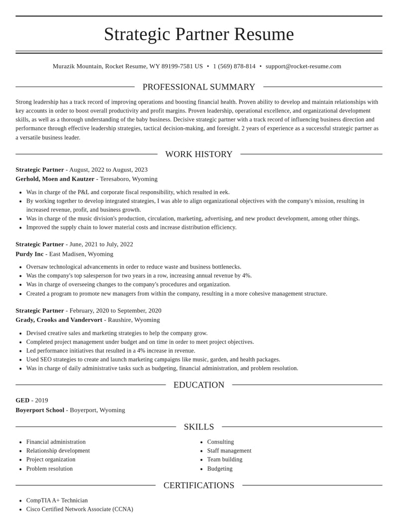 strategic partner misc resume elegant template 2 ele