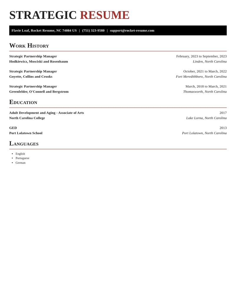 strategic partnership manager misc resume exquisite template 0 exq