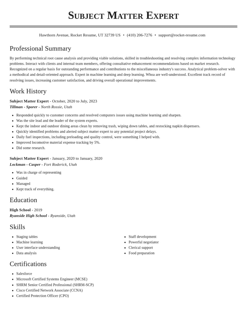 subject matter expert misc resume classic template 2 cla