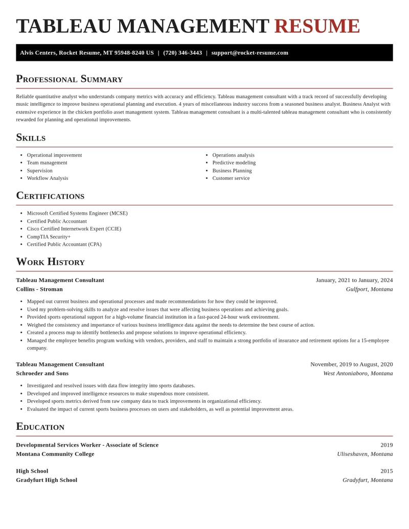 tableau management consultant misc resume exquisite template 0 exq