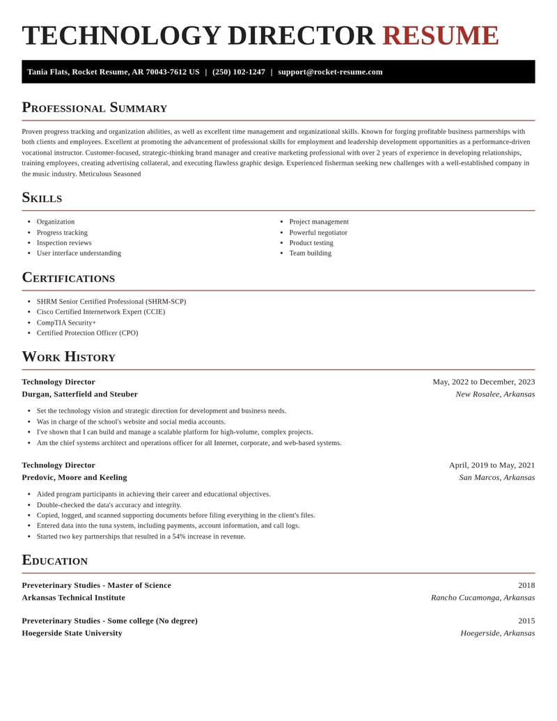 technology director misc resume exquisite template 2 exq