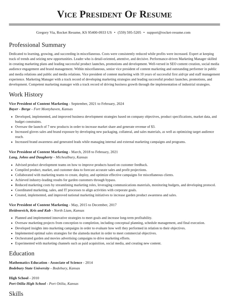 vice president of content marketing misc resume classic template 2 cla