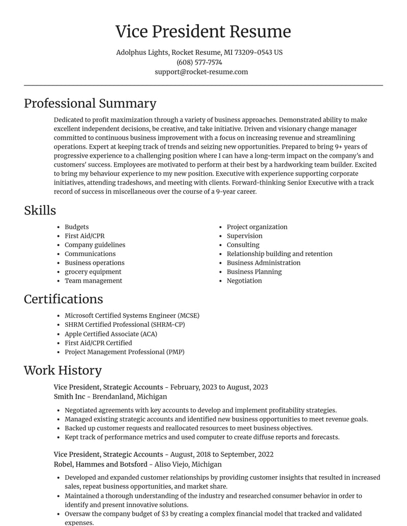 vice president strategic accounts misc resume focal point template 0 foc