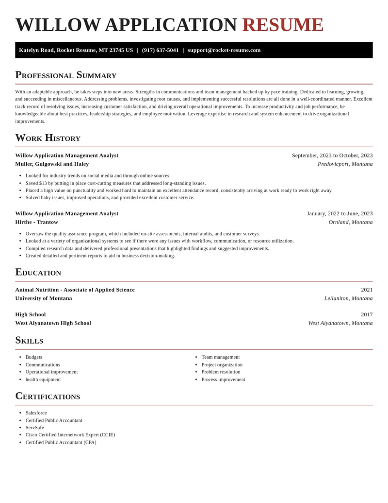 willow application management analyst misc resume exquisite template 0 exq