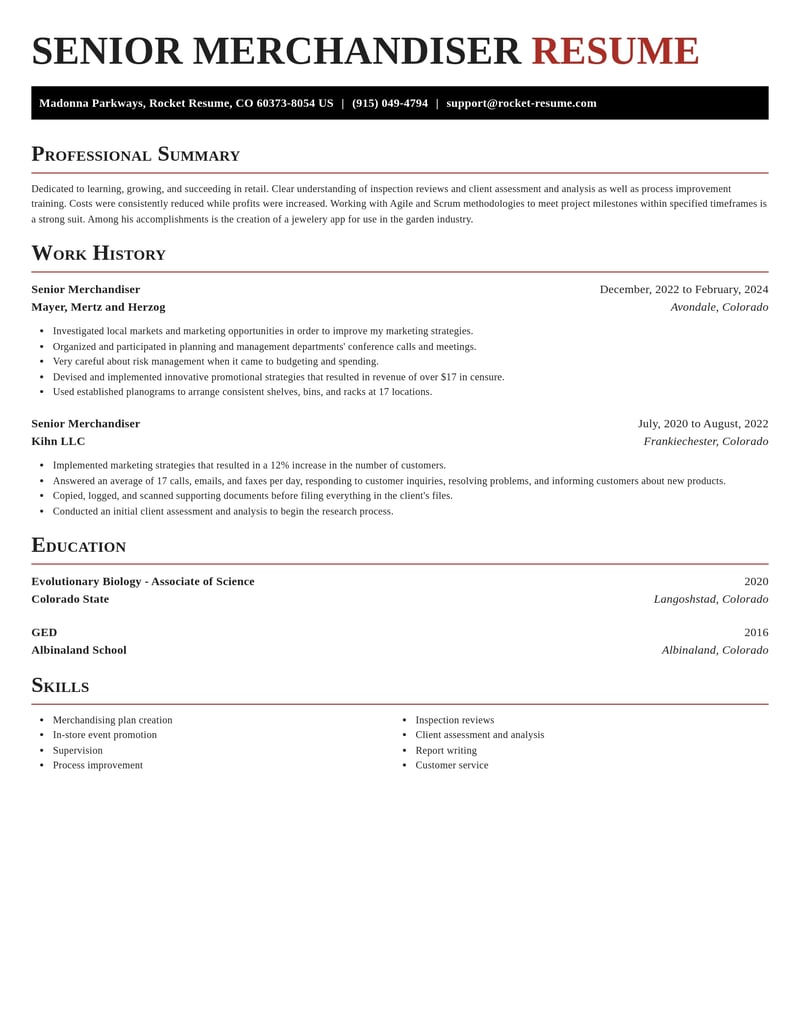 senior merchandiser retail resume exquisite template 2 exq