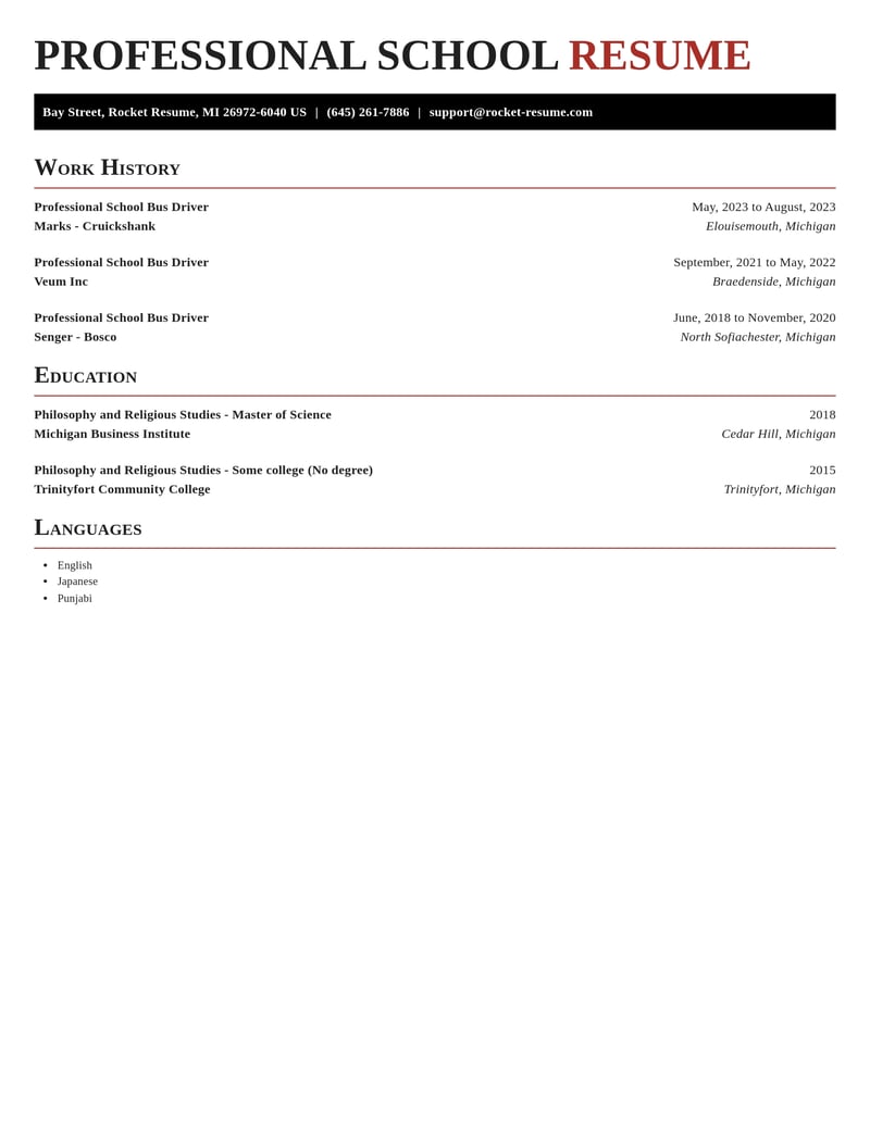 professional school bus driver transportation resume exquisite template 2 exq