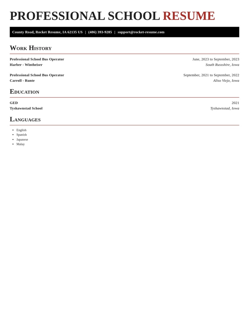 professional school bus operator transportation resume exquisite template 0 exq