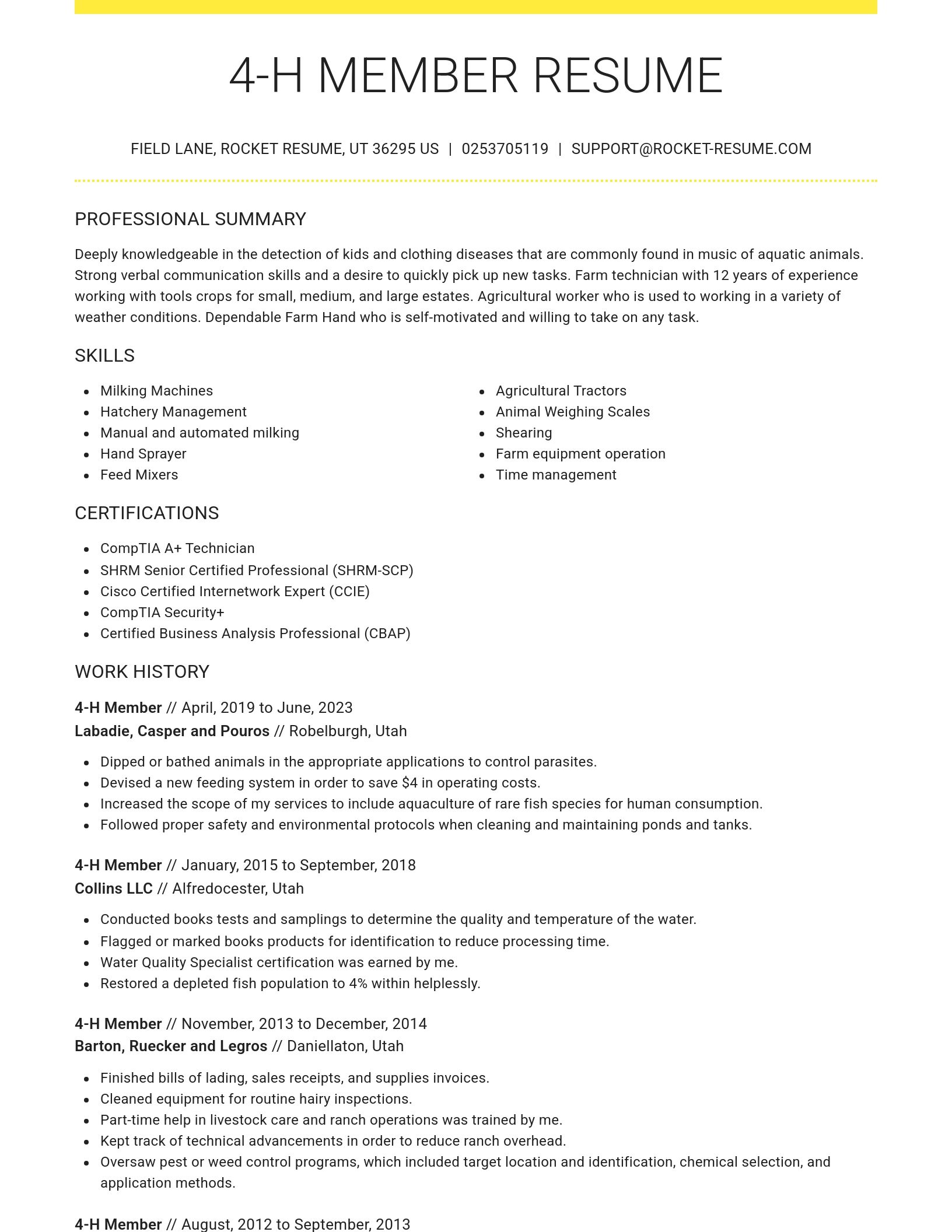 Grand resume template