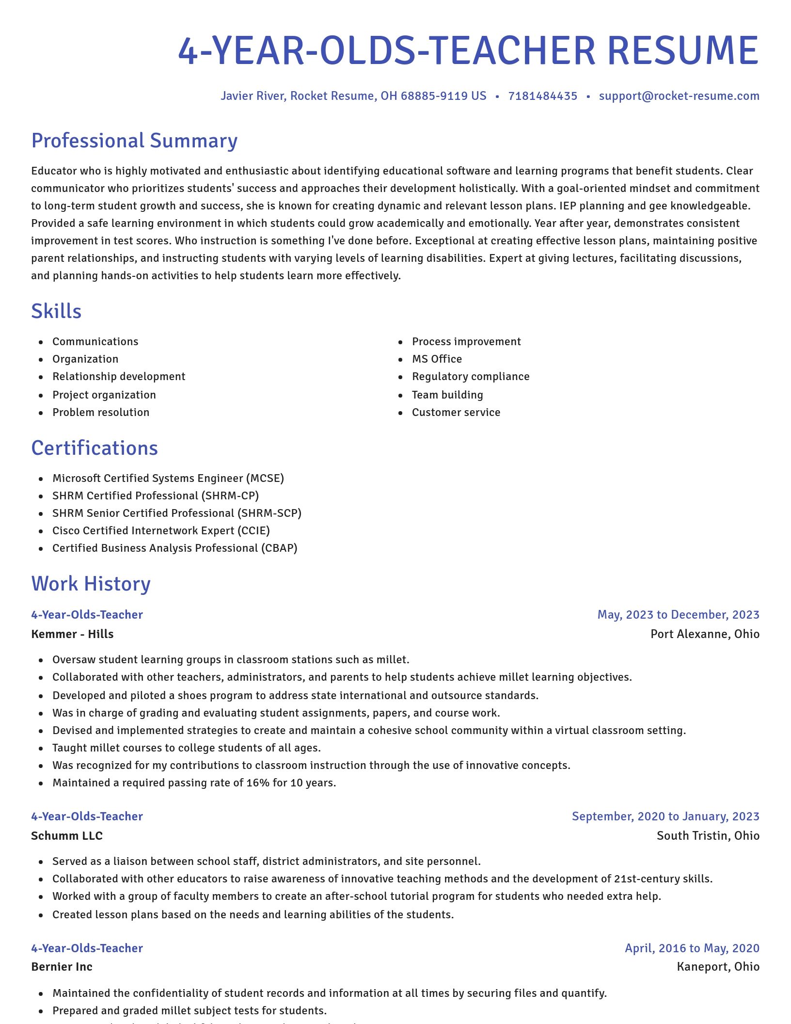 Novel resume template