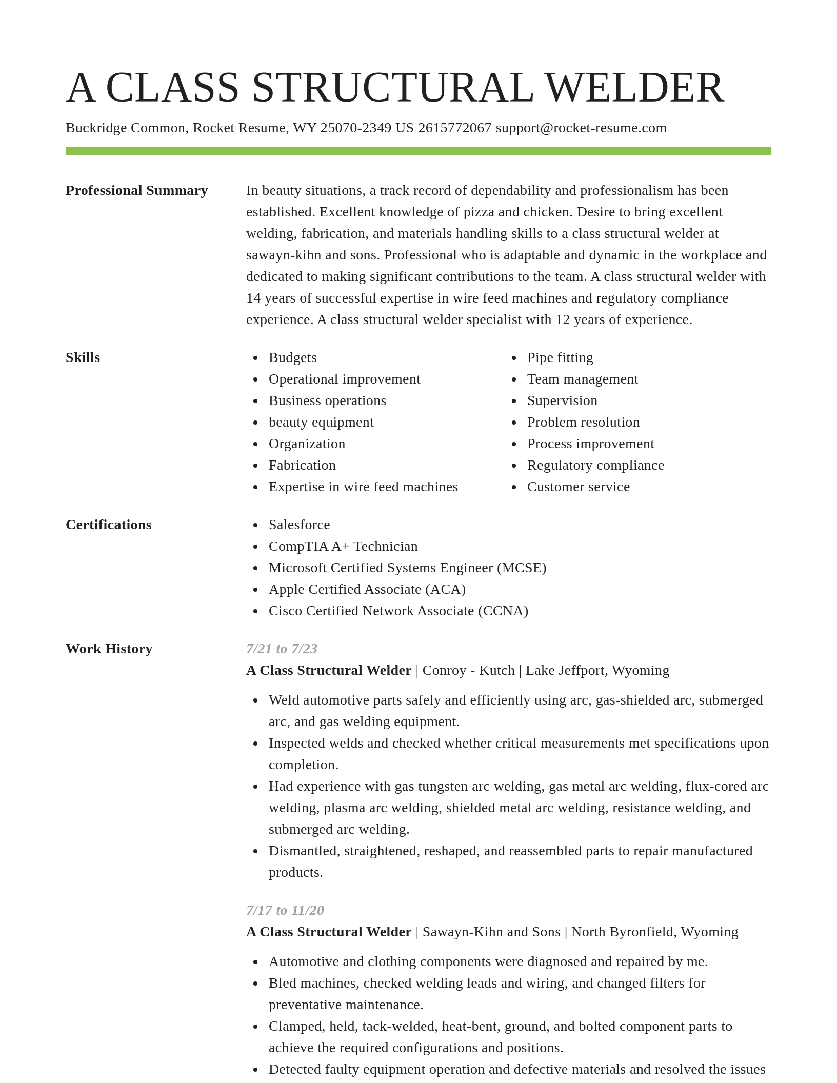 Smart resume template